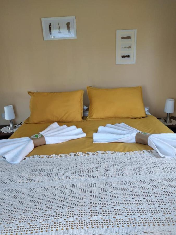 Villa Cabanas Aliwen à Ñilque Extérieur photo